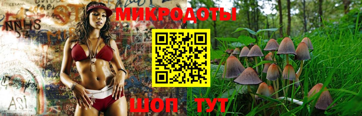 Медногорск  Псилоцибиновые грибы ЛСД  Вход с VPN 
